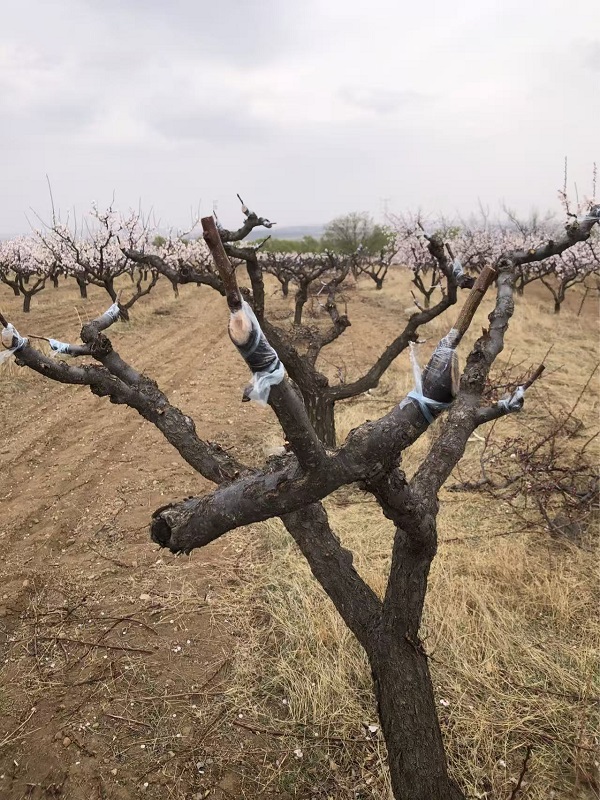 微信图片_20260421164558_29_88