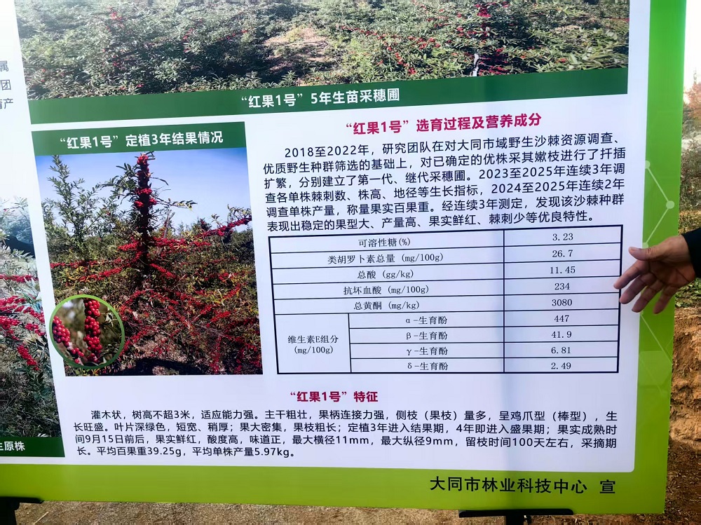 微信图片_20251201160942