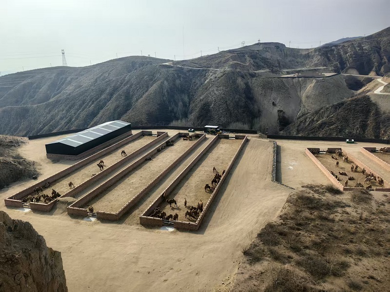 林下生金  绿富共赢 ——赴天镇县学习林草产业发展新经验、探索新路径