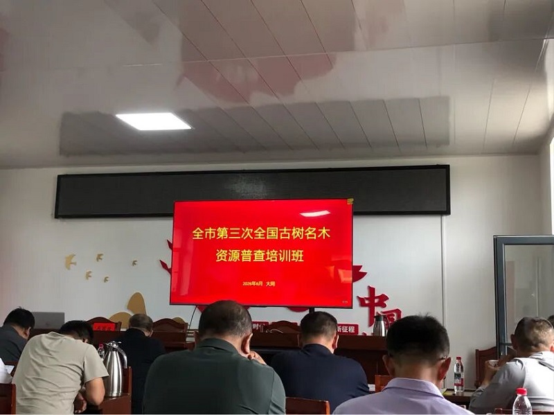 大同市规划和自然资源局组织开展第三次全国古树名木资源普查专题培训